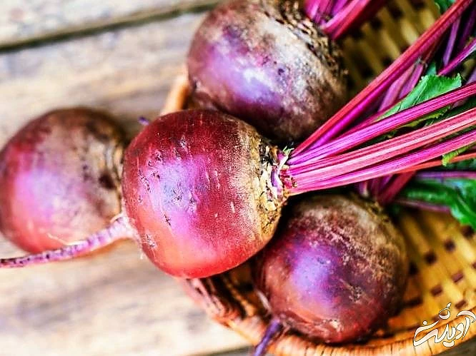 گیاهان آهن دار